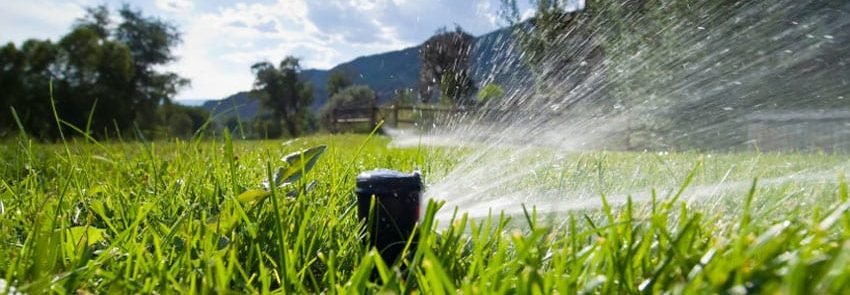 Irrigation-Is-Effective