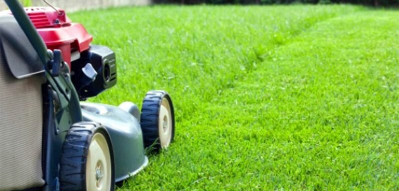 mowing-services-thumbnail