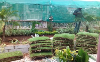 SSL TERRACE GARDEN PROJECT