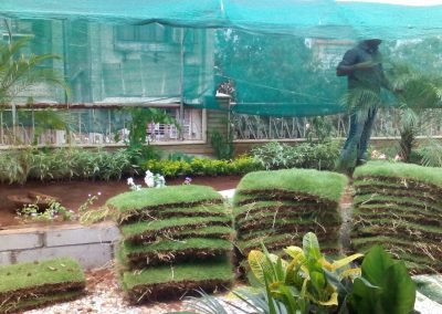SSL TERRACE GARDEN PROJECT