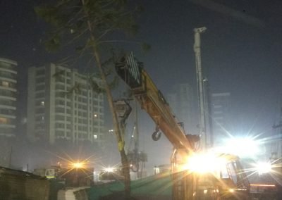 TREE PLANTATION PROJECT, MUMBAI REGION
