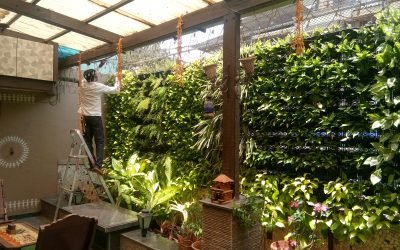 VERTICAL GARDEN PROJECTS