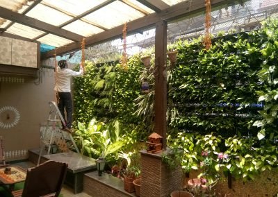 VERTICAL GARDEN PROJECTS